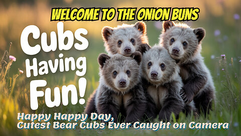 Happy Happy Day, Cutest Bear Cubs Ever Caught on Camera