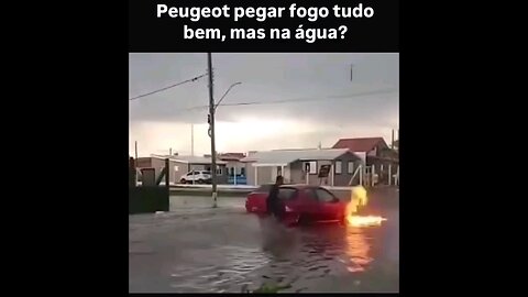 Peugeot catches fire