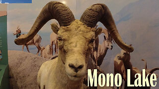 FIOTM 89 - Mono Lake Mysteries: Salt, Shrimp, Sacred Silence and the Sierra Nevada Devil’s Gate