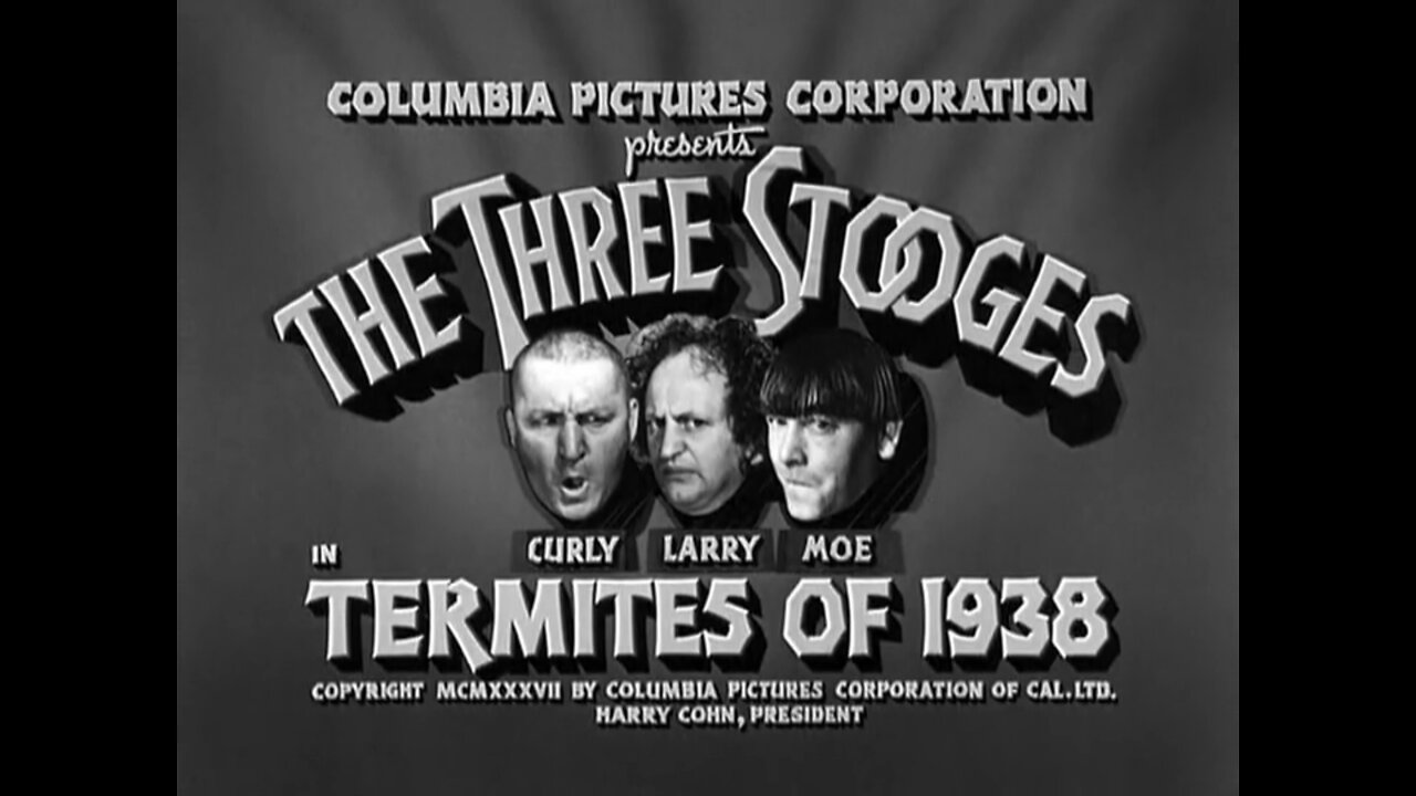 The Three Stooges - "Termites of 1938"