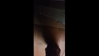 Secret Agent SBD
