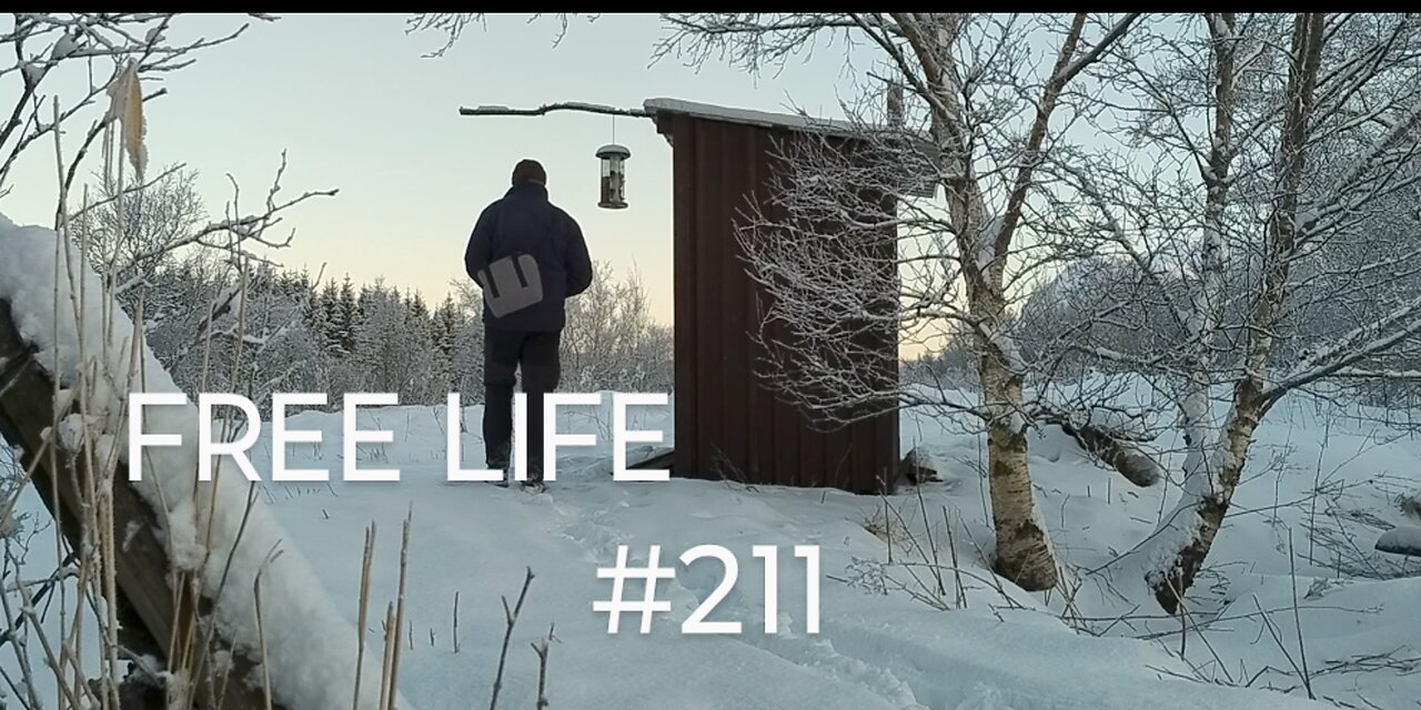 Free Life #211