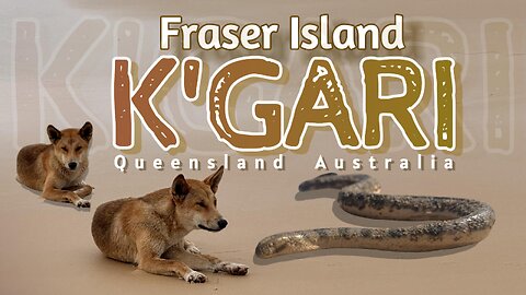 K'gari - Fraser Island - Queensland Australia