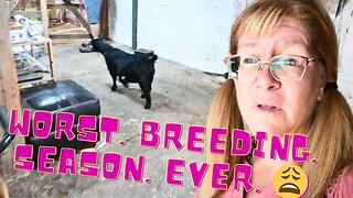 This HAS BEEN The WORST Breeding SEASON EVER And THIS Is WHY!