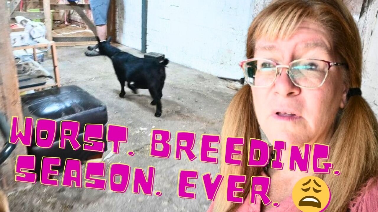 This HAS BEEN The WORST Breeding SEASON EVER And THIS Is WHY!