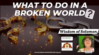 What to do in a Broken World? Wisdom of Solomon!