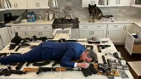 This wins the internet today