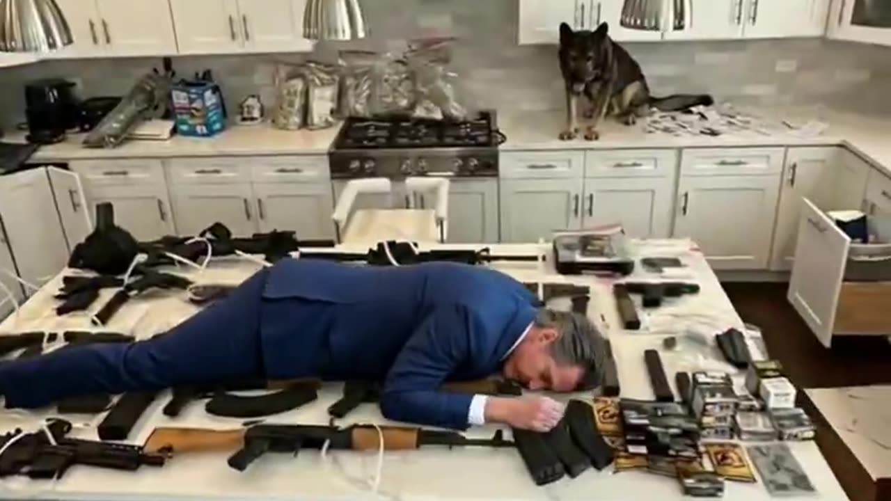 This wins the internet today