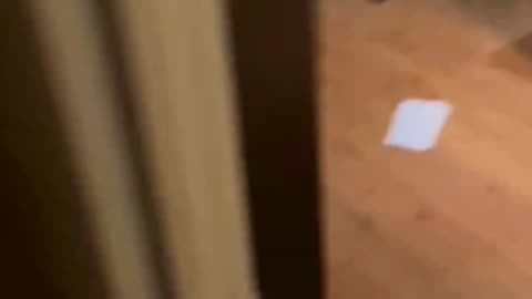 SAUCE GOAT SHOWS HIS 3 BEDROOM HOUSE TO THE CHAT 🔥