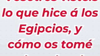 “Llevados sobre alas de águila” Éxodo 19:4.#shortvideo #ytshorts #youtube #shorts #youtubeshorts #yt