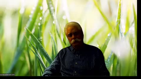 2026-01-10- A Common Lawyer Comments with Brent Allan Winters 1Peter_4_5-7