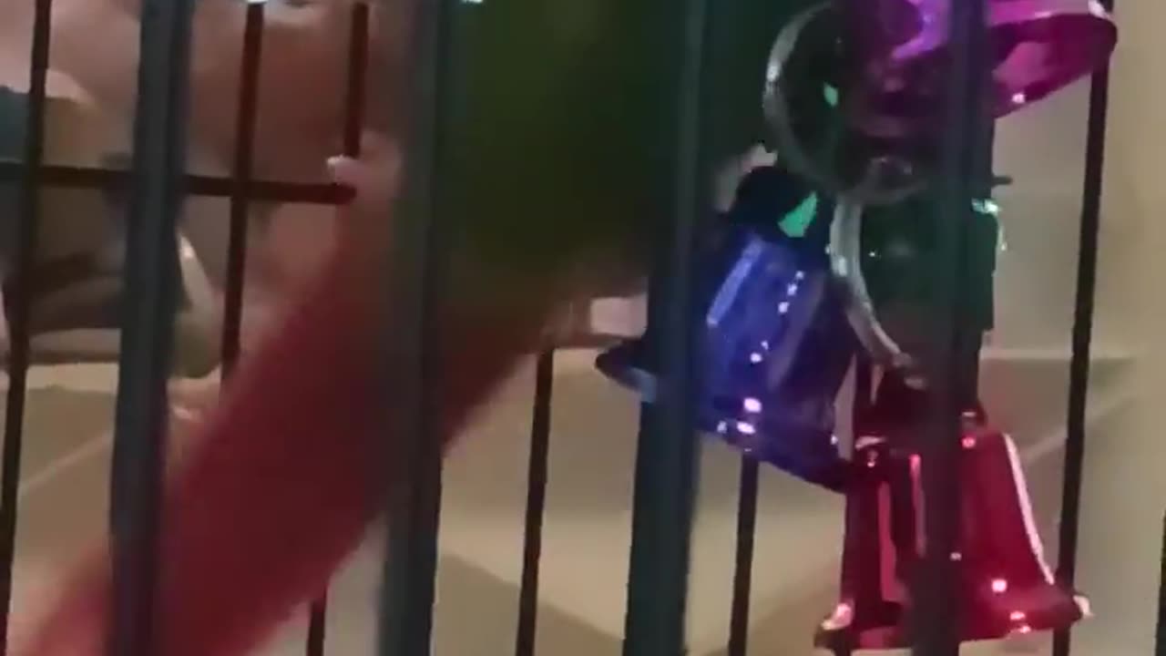 Speedwagon vs Da Bells