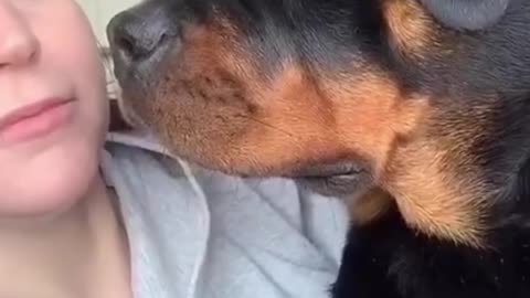 The dog is in shock: the owner started breathing like him