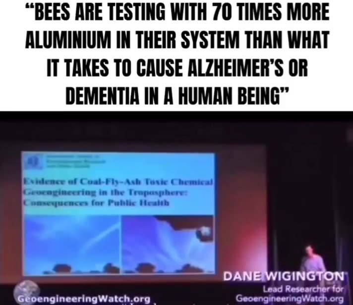 BEES ARE TESTING WITH 70X MORE ALUMINIUM?