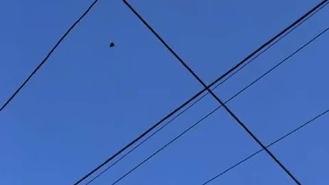 Ukraine war related/combat footage 12/10/2025