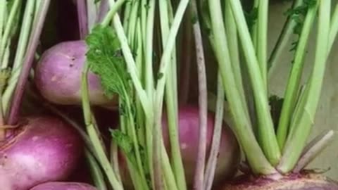 Two benefits of eating turnip