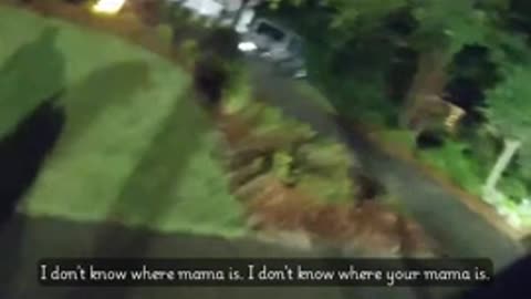 Good Dog Leads Police to Fallen Elderly Woman