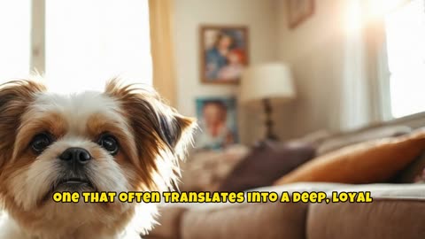 Caring for Your Shih Tzu: A Complete Guide