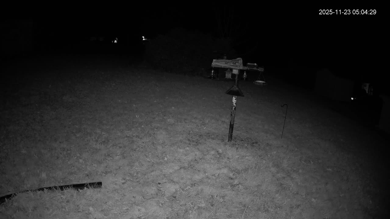 Bird Feeder in Western Maryland USA