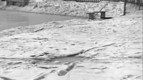 Harry Bennett On Yach... - Harry Bennett On Yacht and Playing Baseball Harry Bennett Ho - fc-fc-3907