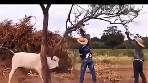 🤣🎁 You Won't Believe How This Good Deed Gets Rewarded! | FunFM