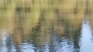 What do you say about ripples?