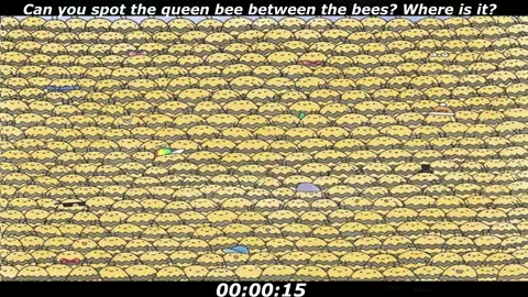 Queen bee puzzle: Can you spot the queen bee between the bees? Where is it?