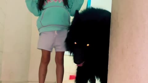 🐶👀 Is This Puppy Cute or Creepy? Decide for Yourself... | TheHauntingHour