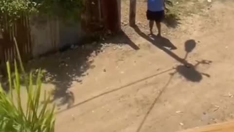 Lol