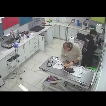 Mama brought her baby to the vet for MEDICA attention