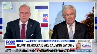 Newt Gingrich, Larry Kudlow Say Dems 'Engaged In Insurrection'