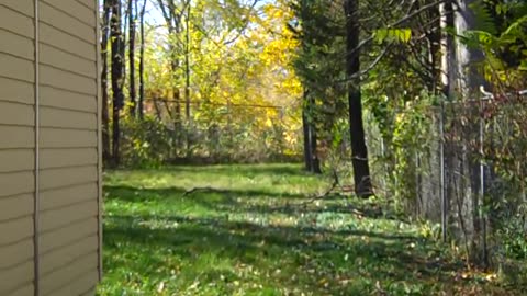 WESTBROOK FOR CASTLE ROCK IN NEW YORK,,THESHEASHOW.COM