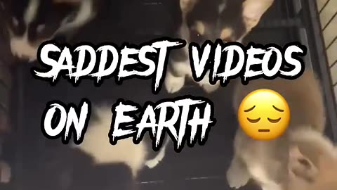 Saddest video