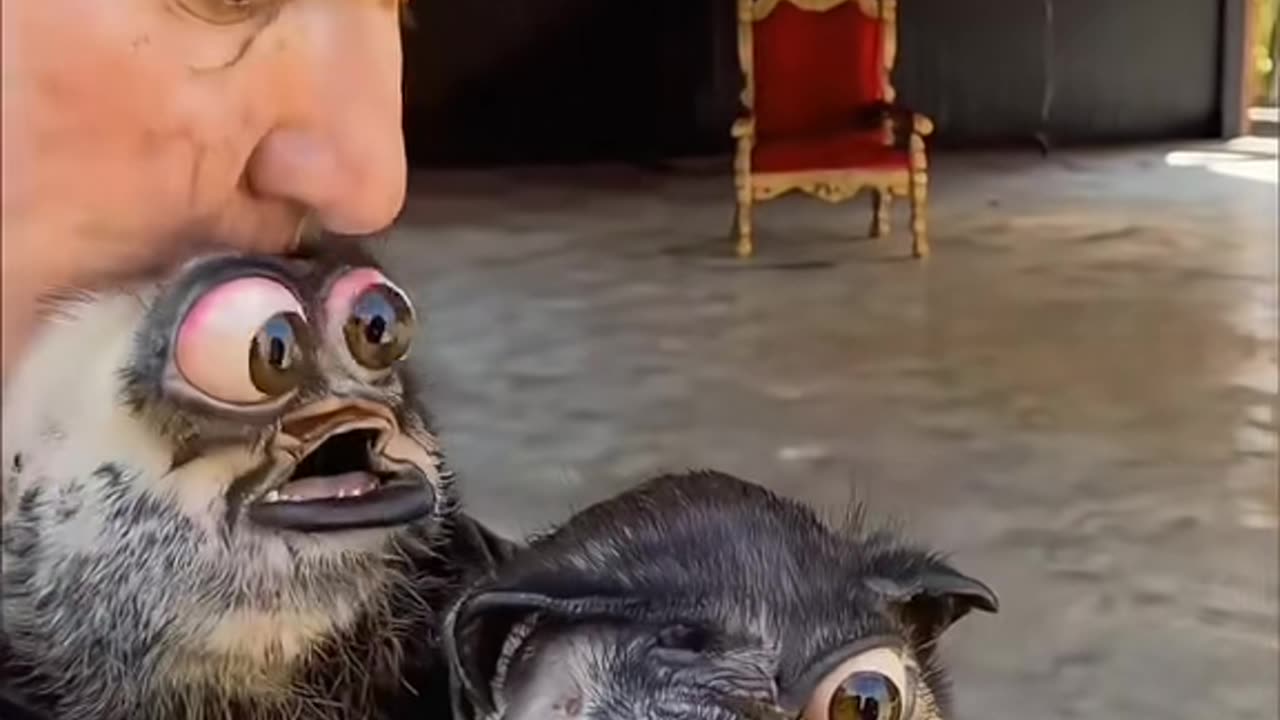 😱👻 You Won't Believe What They Caught on Camera! Ouija & Ghosts | TheHauntingHour