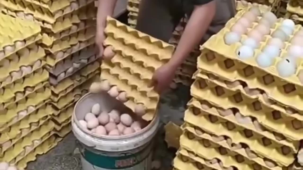 Are the eggs you're consuming real?