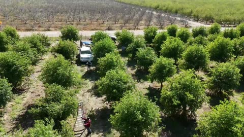 KaraBand Siong Jubilee trees Fresno CA