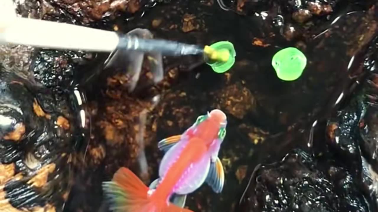 💥👍 Life-Changing Hack! | LifeHacksDaily