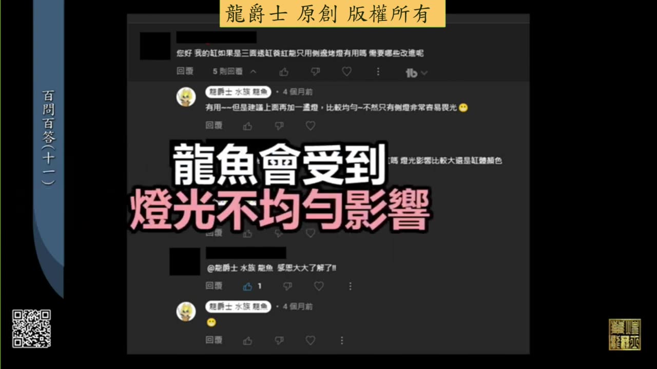 【龍爵士】千問千答 Q116 三面透缸養紅龍只用側邊烤燈有用嗎