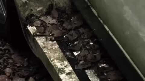 Talent without action is just a dream left behind.