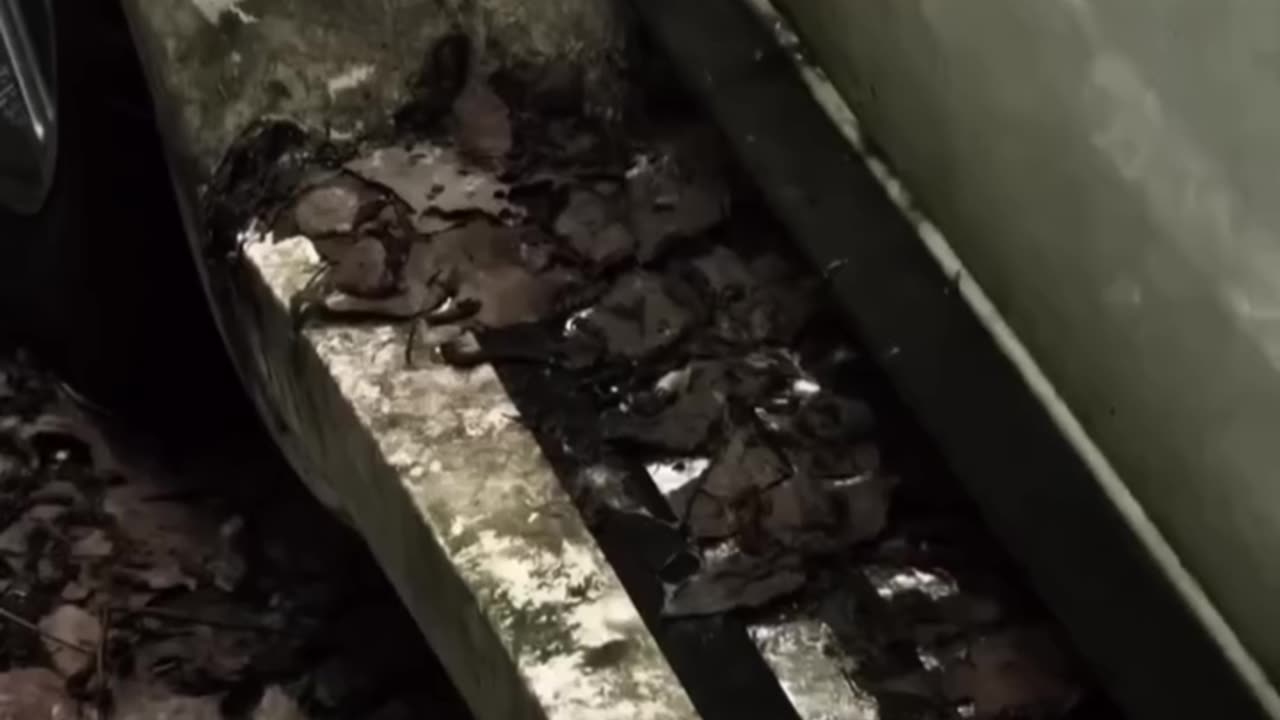 Talent without action is just a dream left behind.