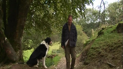Mist: A Tale Of A Sheepdog Puppy - Mist and the Lamb