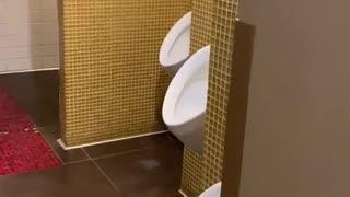 🤣🚽 You Won't Believe These Urinal Defenders! Hilarious Fail | FunFM