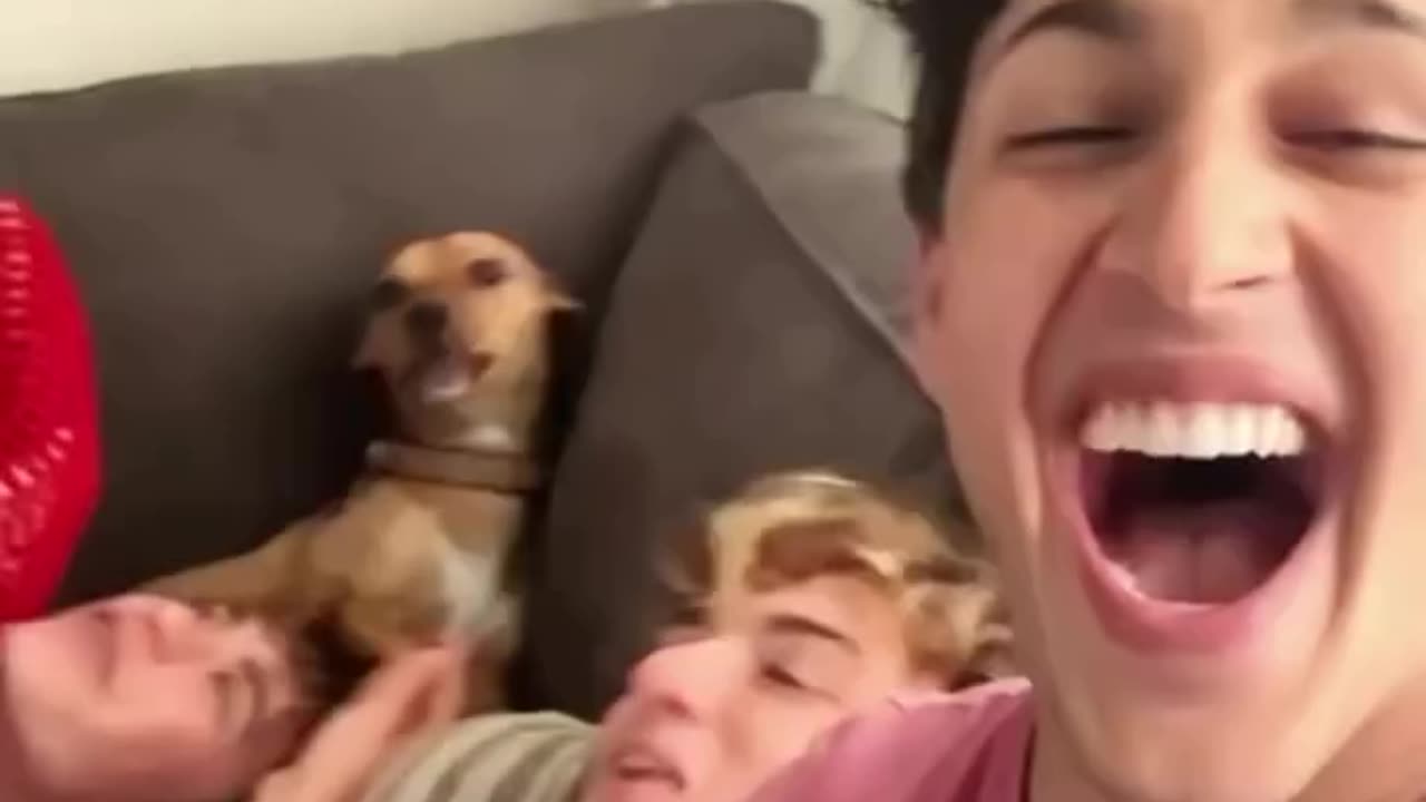 Scream prank😱😱😂😂