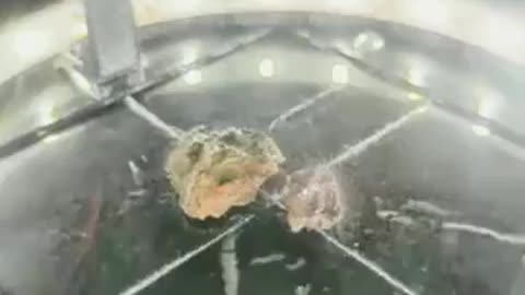 This is what uranium looks like in a cloud chamber-The visible tracks are mainly alpha particles