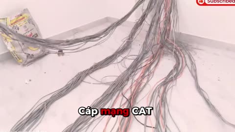 Cáp mạng CAT6 Hikvision DS-1LN6UZC0 - An toàn dữ liệu vận hành không gián đoạn