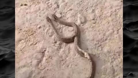 😱👻 You Won't Believe What Terrifying Paranormal Activity Was Caught! | TheHauntingHour