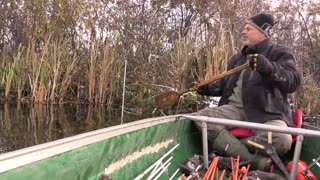 Trapping Inc Season 5 Episode 2 Muskrat trapping