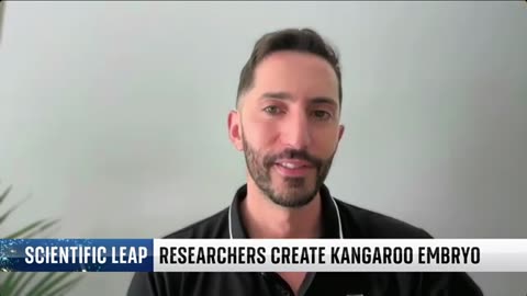 Scientists create first Kangaroo embryo using IVF