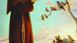 Fr Hewko, St. Francis of Assisi 10/4/25 [Audio]