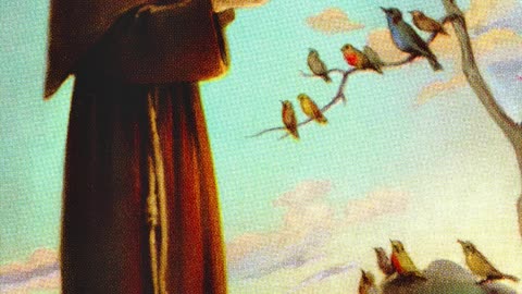 Fr Hewko, St. Francis of Assisi 10/4/25 [Audio]